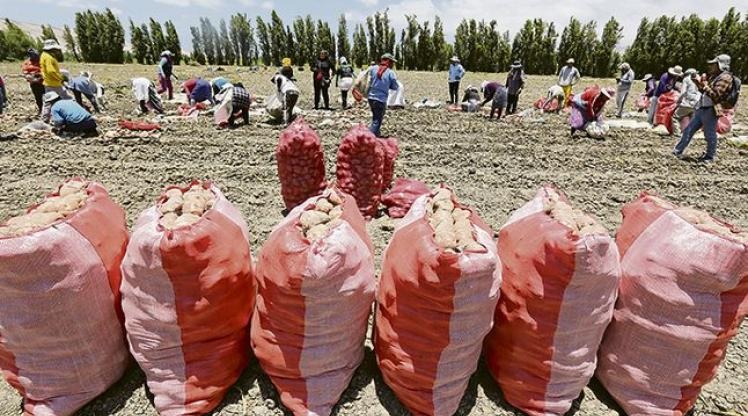 LIMA CONECTA: El Niño podría interrumpir el traslado de alimentos desde Arequipa, Ica, Tacna y Moquegua hacia Lima